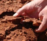 EBS / Soil Matrix clearly indicating the binding action on treated side slopes of stockpile slope stabilization