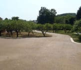 EBS Surface Seal of Gravel Road and Driveway driveway stabilization