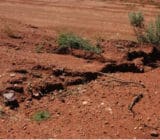 Wind and Water Erosion Prevention Wind and Water Erosion Prevention