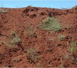 Slope reinforcement Slope reinforcement