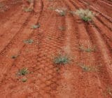 Stockpile Dust Containment Stockpile Dust Containment