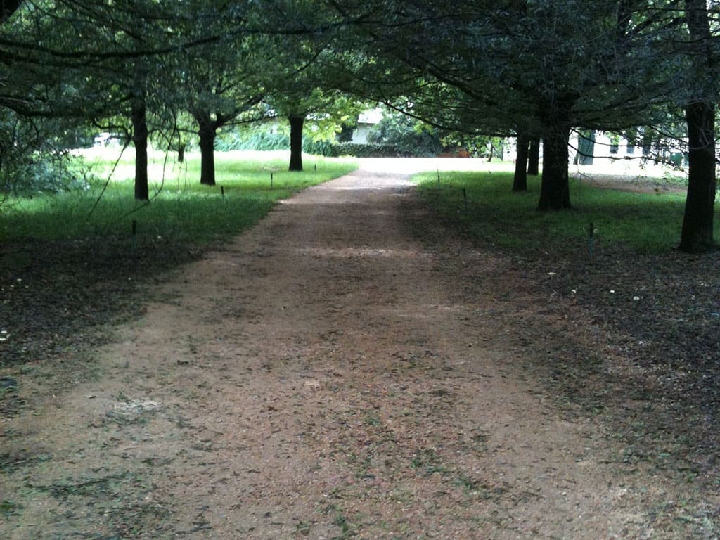 Unsealed-gravel-road Gravel Road