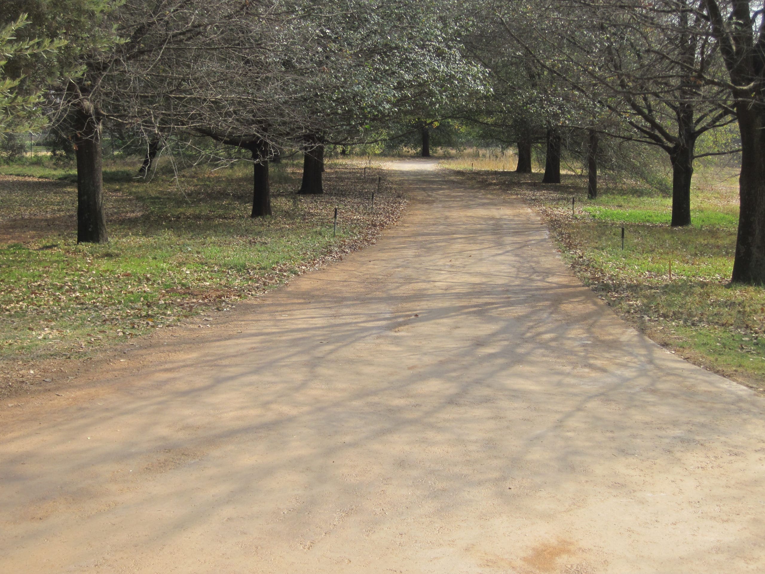 EBS Surface Sealed gravel Road Sealed Gravel Road