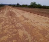 1-Conforzi-Plantation-Airstrip-after-8-years Conforzi Plantation Airstrip after 8 years