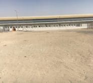 22 EBS Sand Stabilized area after 2.5 years