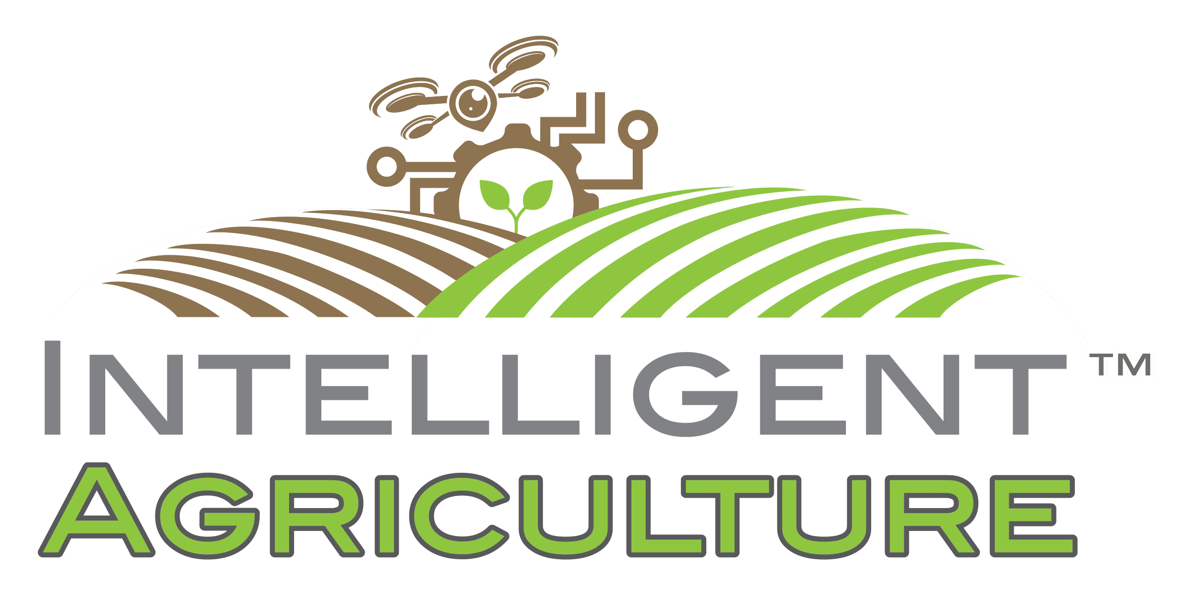 Intelligent Architecture logo big box